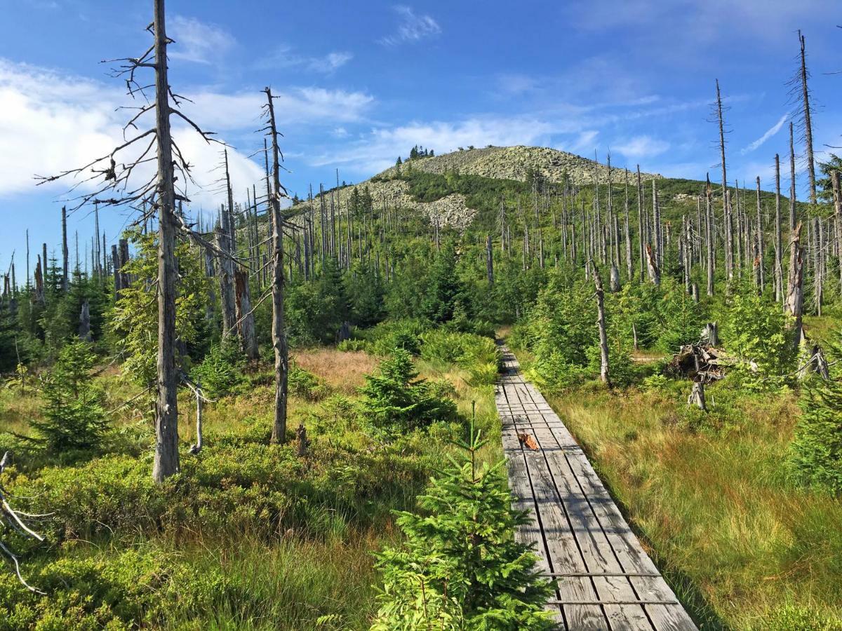 Ferienwohnung Fernblick Neukirchen vorm Wald المظهر الخارجي الصورة
