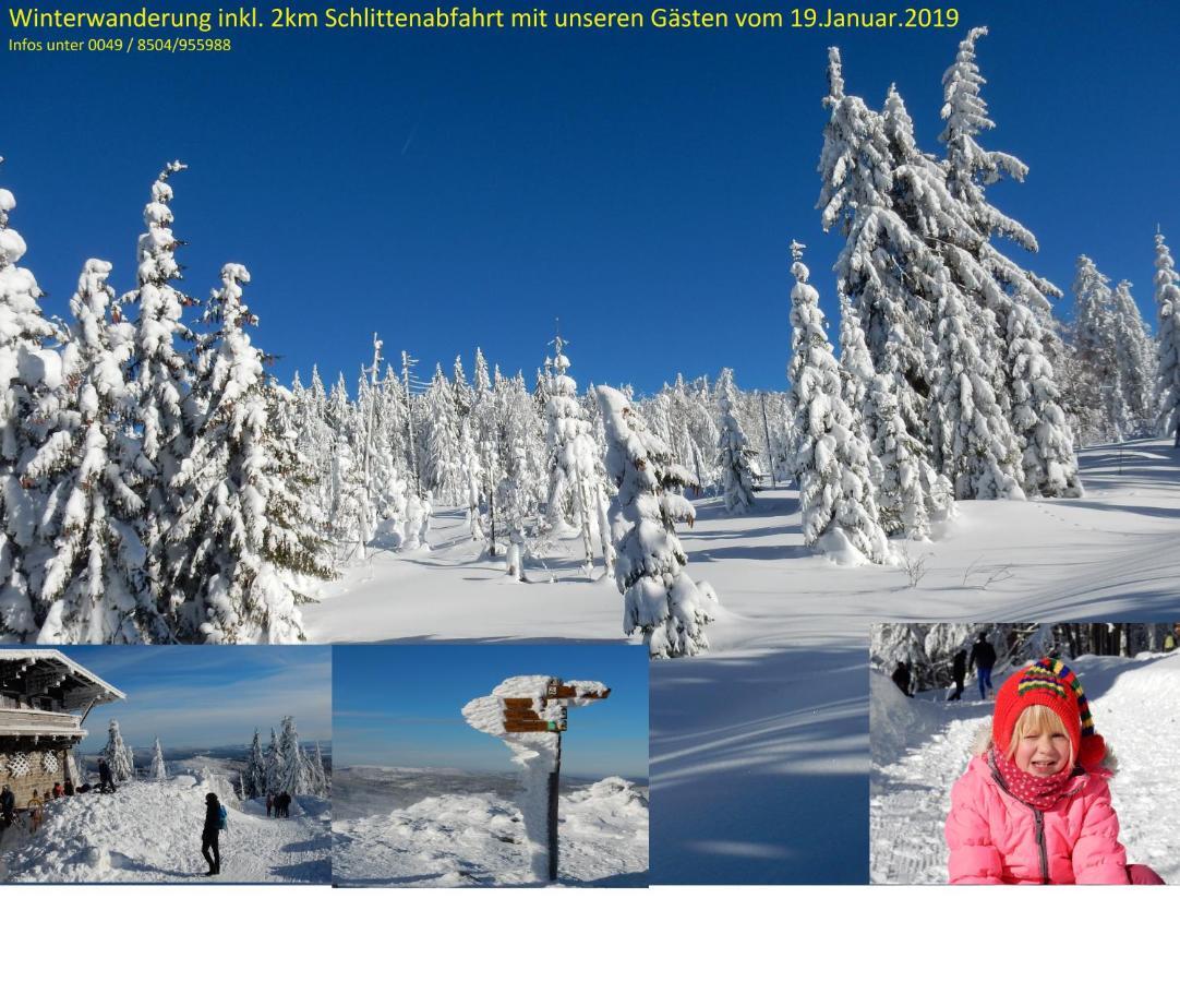 Ferienwohnung Fernblick Neukirchen vorm Wald المظهر الخارجي الصورة